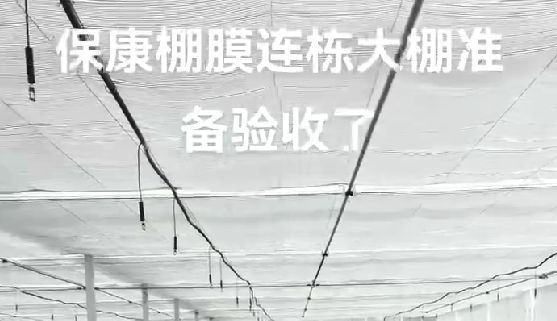 ?？蹬锬みB棟大棚準(zhǔn)備驗(yàn)收