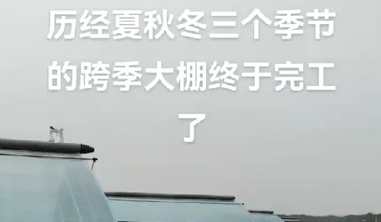 歷經夏秋冬三個季節(jié)的跨季大棚終于完工了